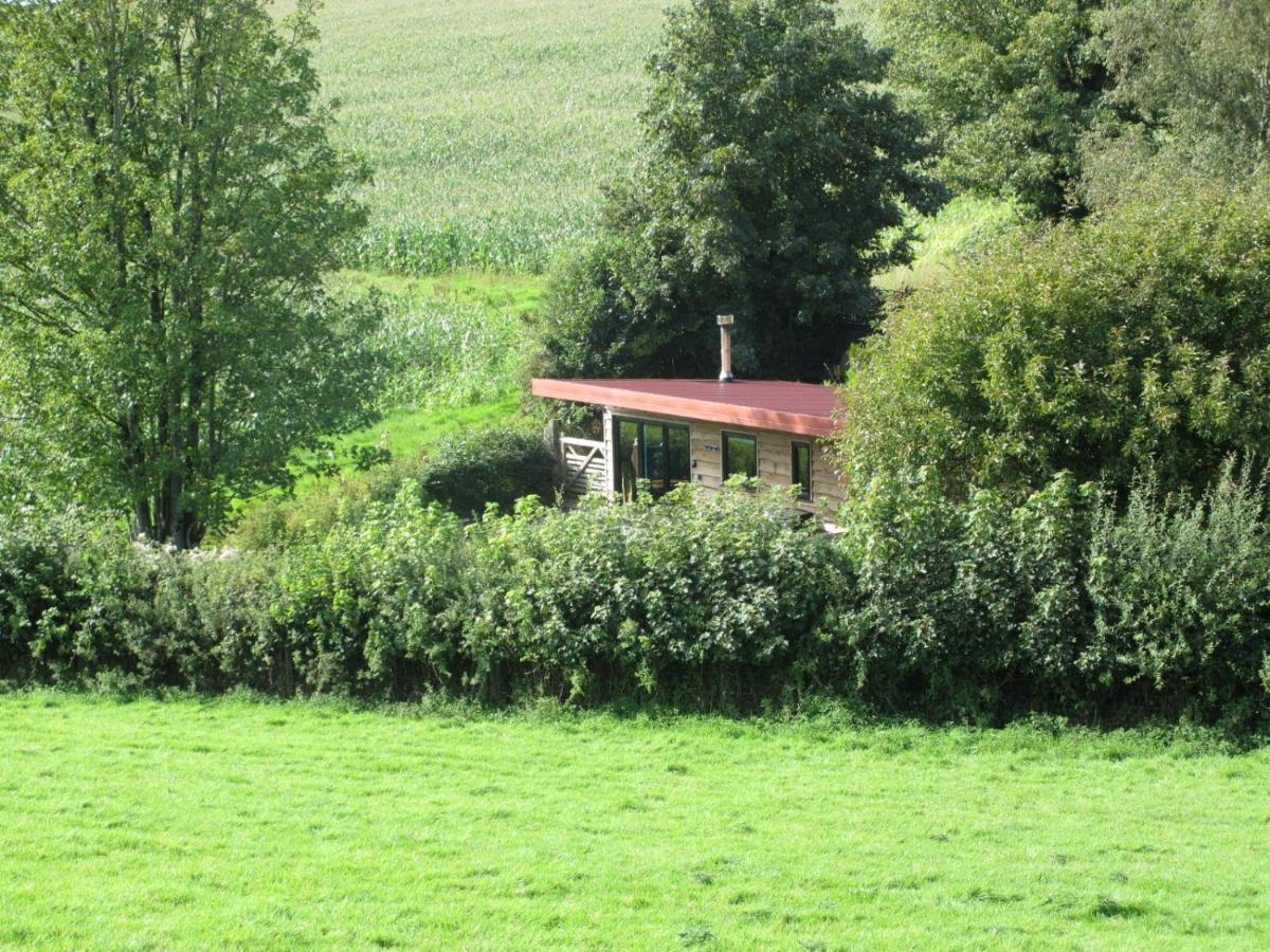 Villa Stargazing Retreat à Merton  Extérieur photo